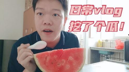vlog 日常吃瓜,跟随镜头，一起品尝生活“瓜果”