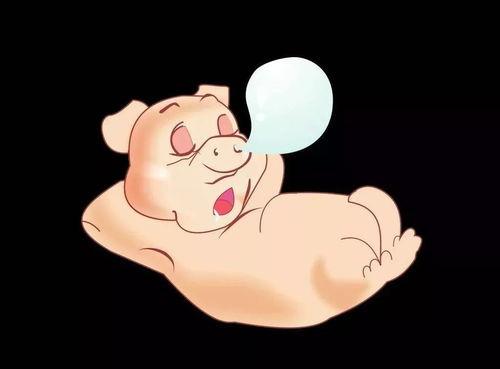 吃瓜小小胖,揭秘娱乐圈的甜蜜与苦涩