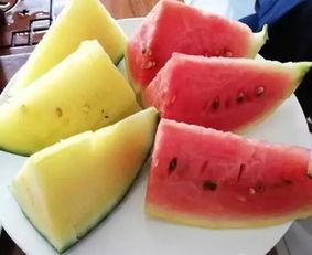 吃瓜即墨太子,揭秘宫廷秘闻背后的真实故事