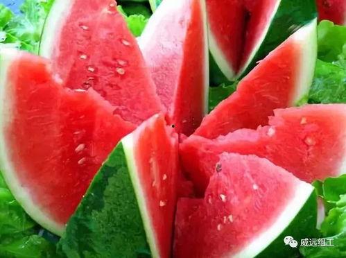 假吃西瓜哈密瓜,揭秘夏日消暑美食的趣味与智慧