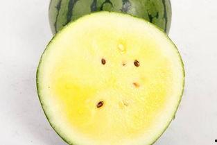 孕妇能否吃翠玉瓜,营养健康两不误