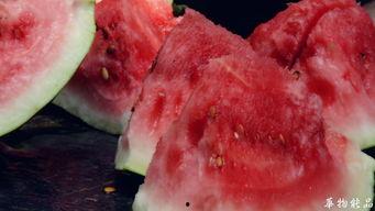 山上喝茶吃瓜,品茗赏瓜，体验自然禅意时光