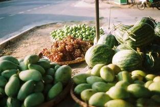 哪个吃瓜群众最厉害,揭秘吃瓜群众中的佼佼者