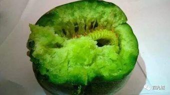 吃瓜中的小绿,吃瓜群众中的独特存在