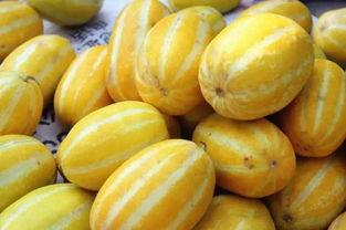 吃瓜只吃优质瓜什么意思,只吃优质瓜的品味生活