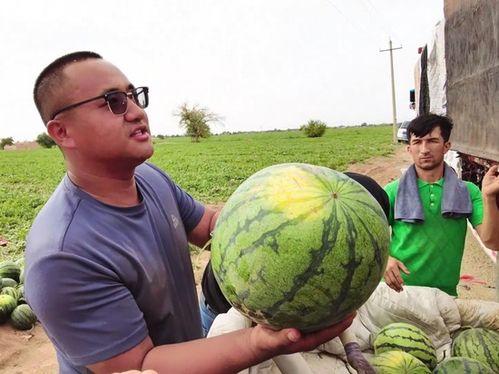 吃瓜岛主,网络红人的崛起与影响力