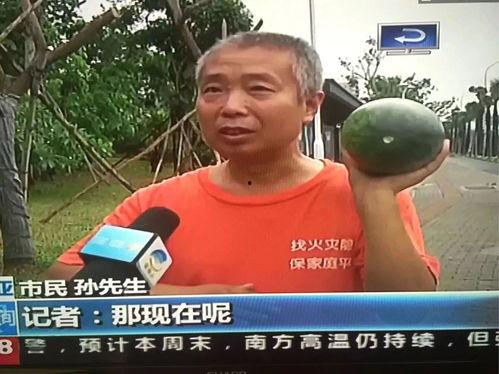 北门吃瓜群众事件,一场网络舆论的风暴与反思