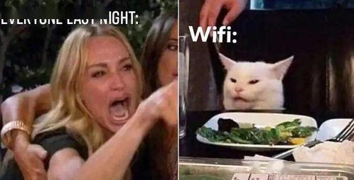 吃瓜学院后续,揭秘娱乐圈背后的秘密与真相