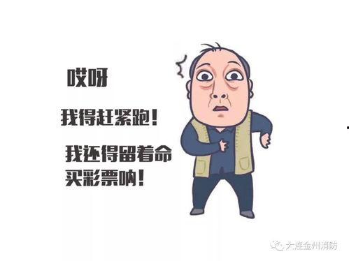 失眠小刘吃瓜版,揭秘失眠背后的秘密