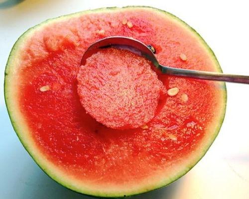 老天赏我瓜吃,奇遇记中的瓜香四溢