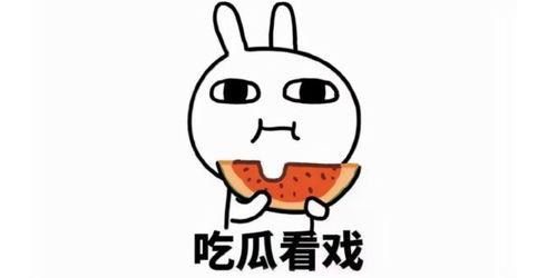 吃大瓜动画,一场视觉与味蕾的双重盛宴