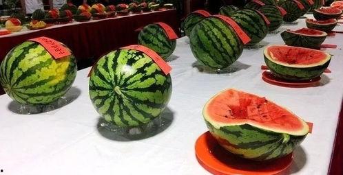 梁吃瓜,揭秘娱乐圈背后的瓜田秘事